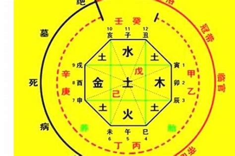 八字冲|八字算命器